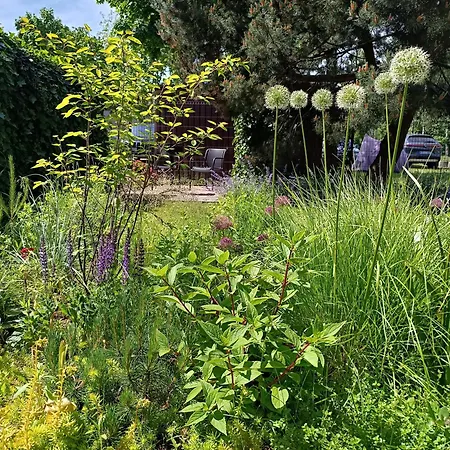 Butas Pievu Tako Kiemelis