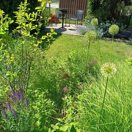 Apartamento Pievu Tako Kiemelis *