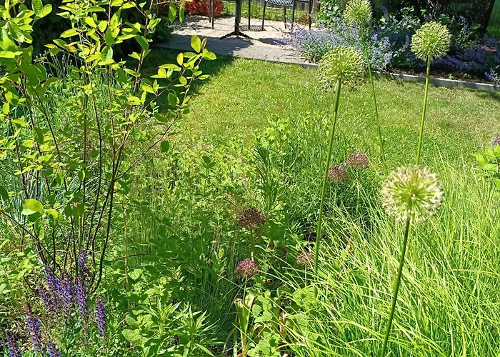 Apartamento Pievu Tako Kiemelis *